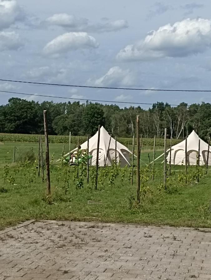 Natuur-Like Glamping In Bosland NeerNeerpelt 외부 사진